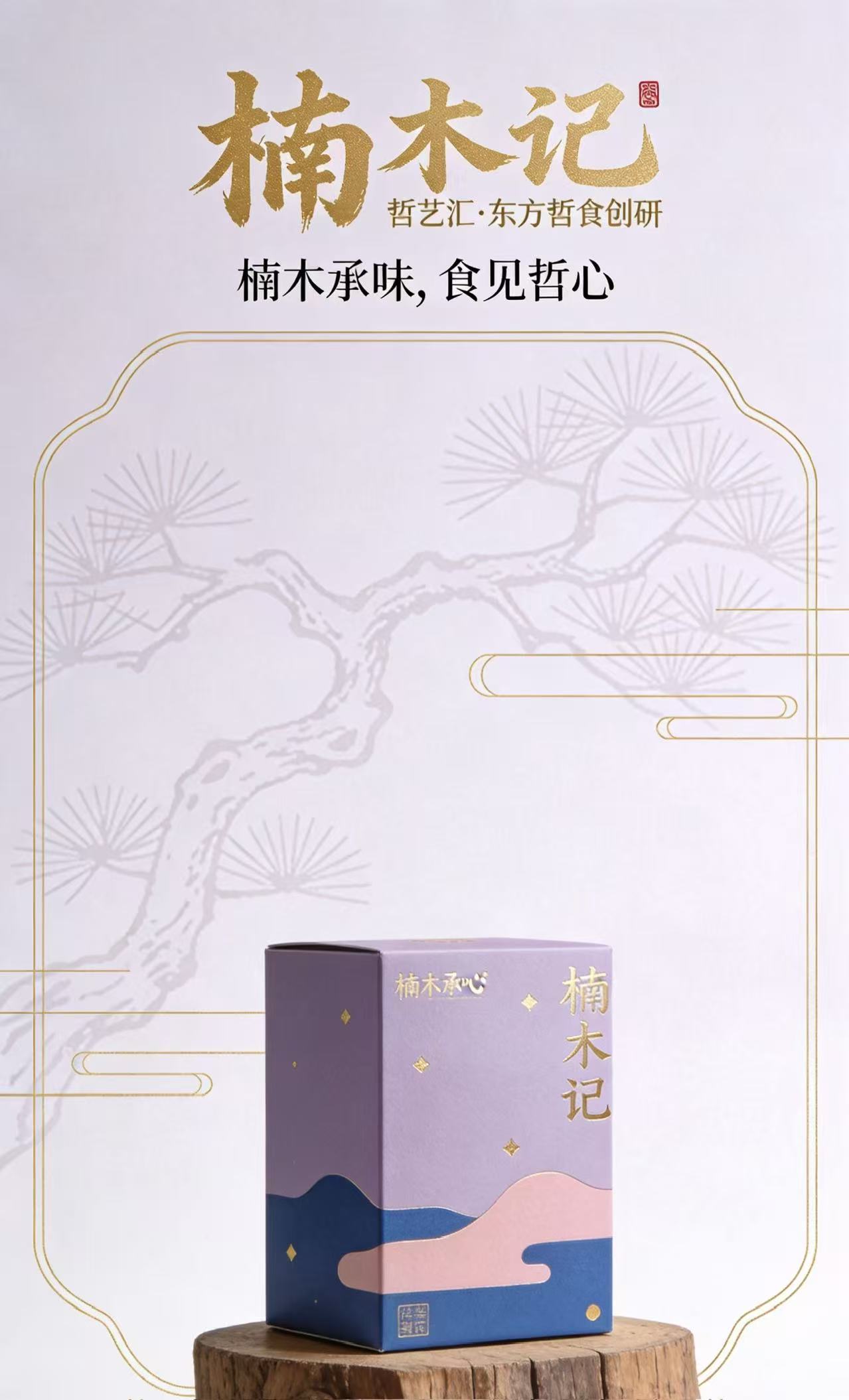 新生记万网数联封面10